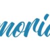 holamemorialize.shop favicon